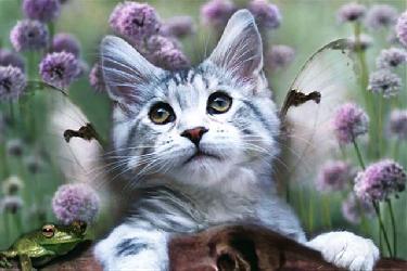 Poster - Dreaming cat Enmarcado de laminas